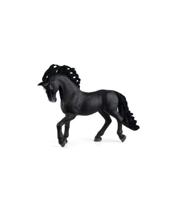 HORSE CLUB - ETALON PURE RACE ESPAGNOLE