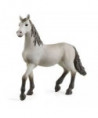 HORSE CLUB - POULAIN PURE RACE ESPAGNOLE