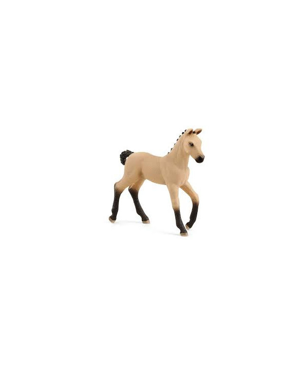 HORSE CLUB - POULAIN HANOVRIEN AUBÈRE